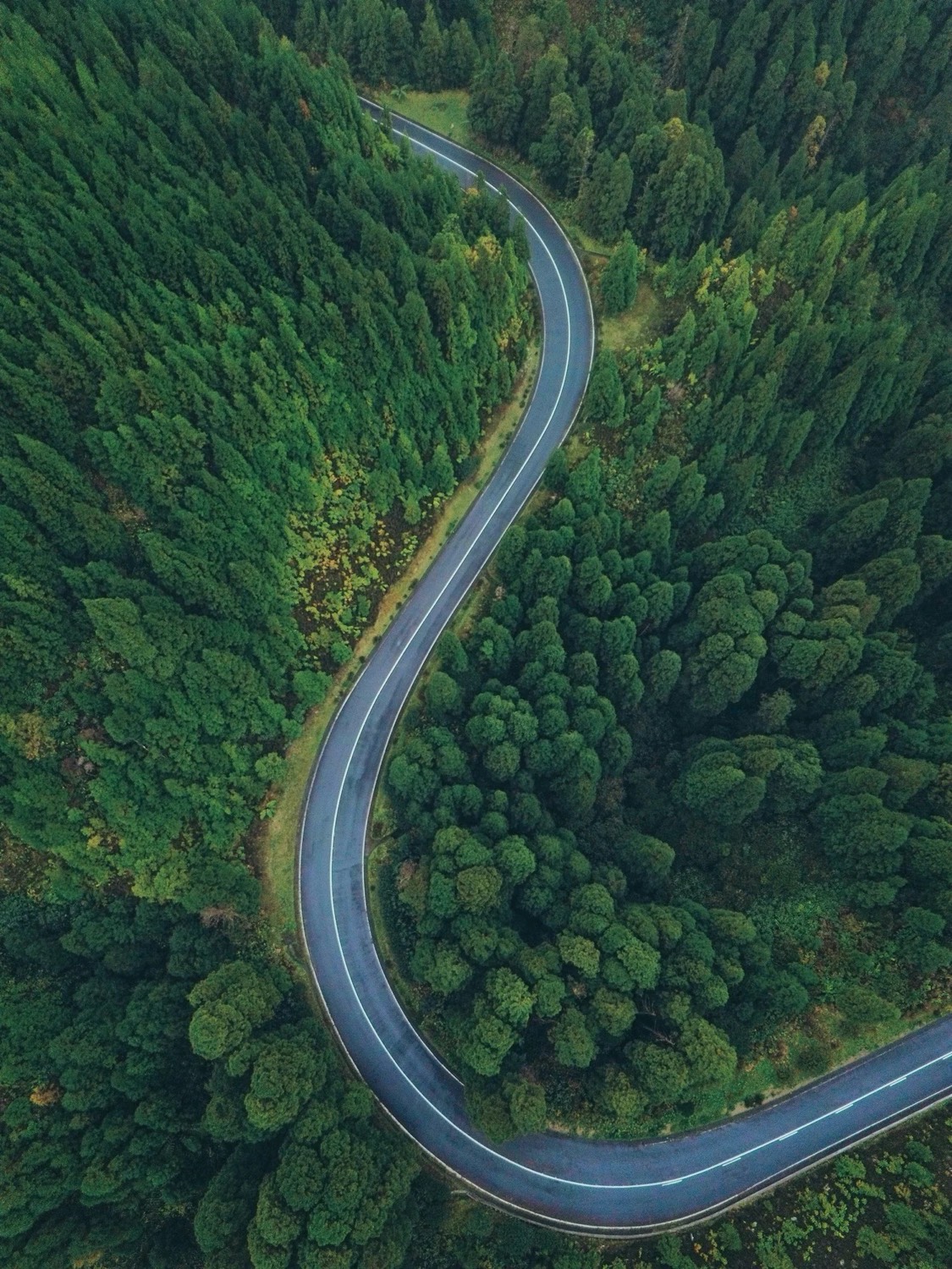An aerial view of a quiet road winding through a deep green forest